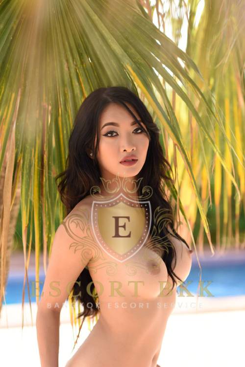 Thai Escort in Bangkok